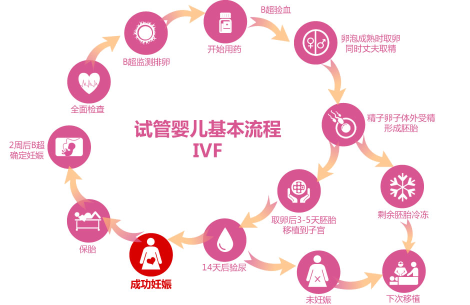 中国单身试管政策的法律难题及社会影响